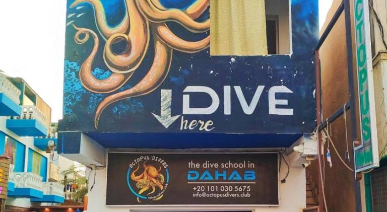 Charming apartment | Pet-friendly in Dahab