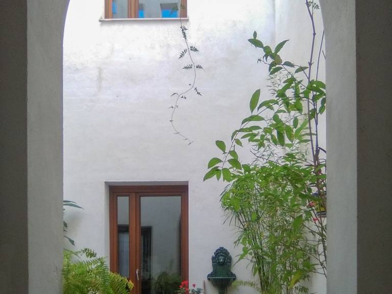Rental apartment | Next to Metropol Parasol | Dogs allowed — photo 3