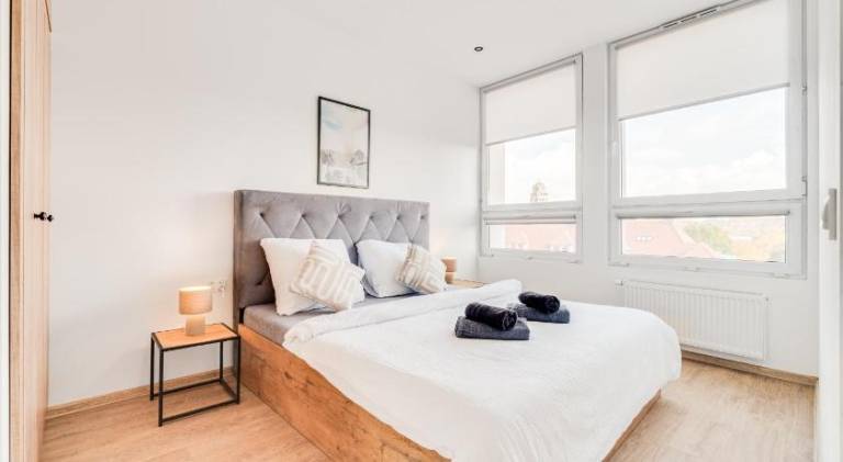 Beautiful rental apartment | Pets are welcome — photo 2