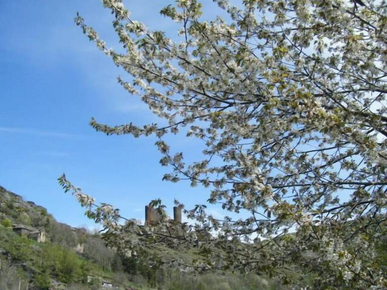 Chambre d'hôtes Le Bleymard