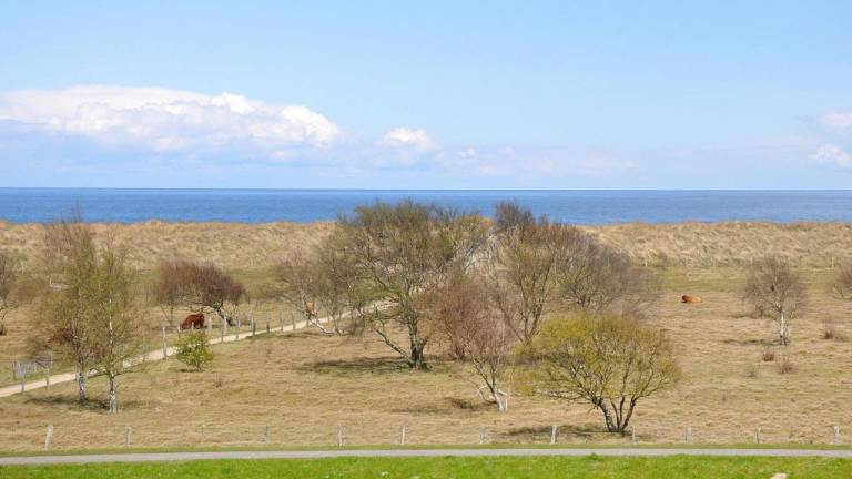 Ferienwohnung Weissenhäuser Strand