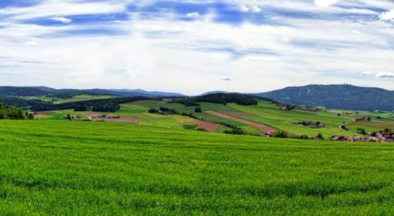 foto11