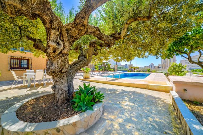 Fully equipped villa with barbecue, terrace & private pool | Pet-friendly — photo 4