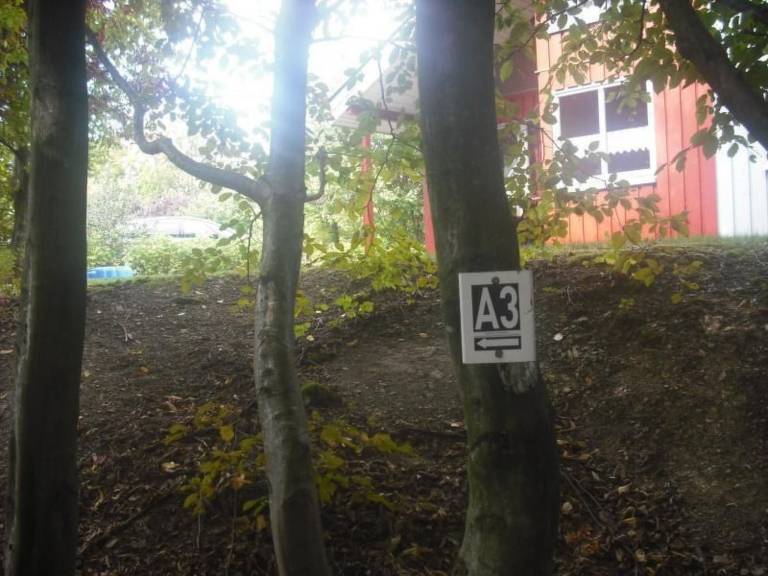 foto7