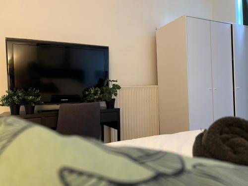 foto2