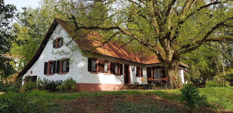 Ferienhaus Unterer Herrnkopf