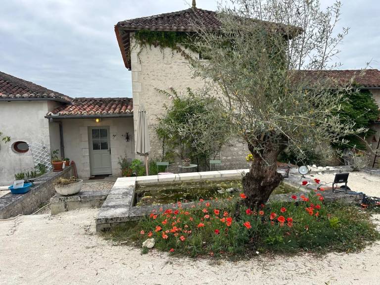foto11
