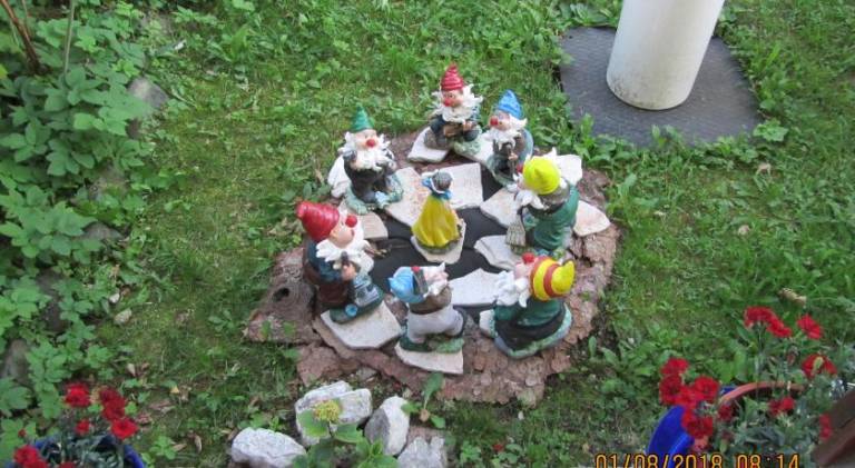 foto37