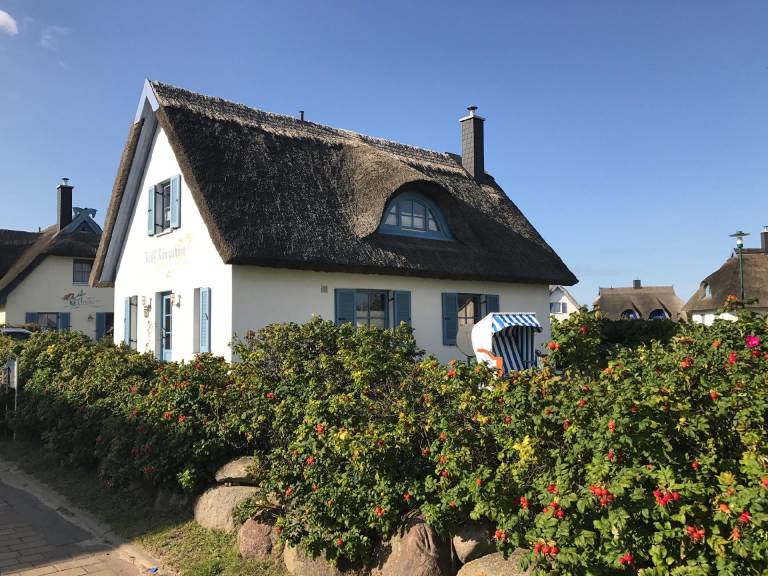 Ferienhaus mit Hund in Glowe für max. 4 Gäste