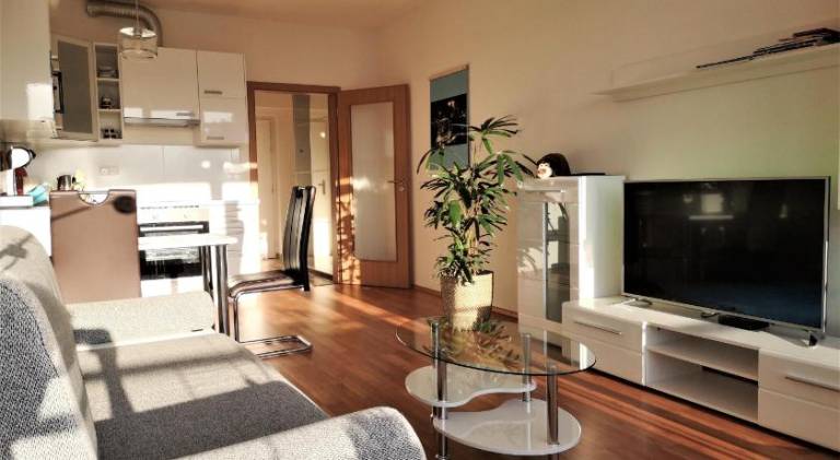 Apartmán Ořechov
