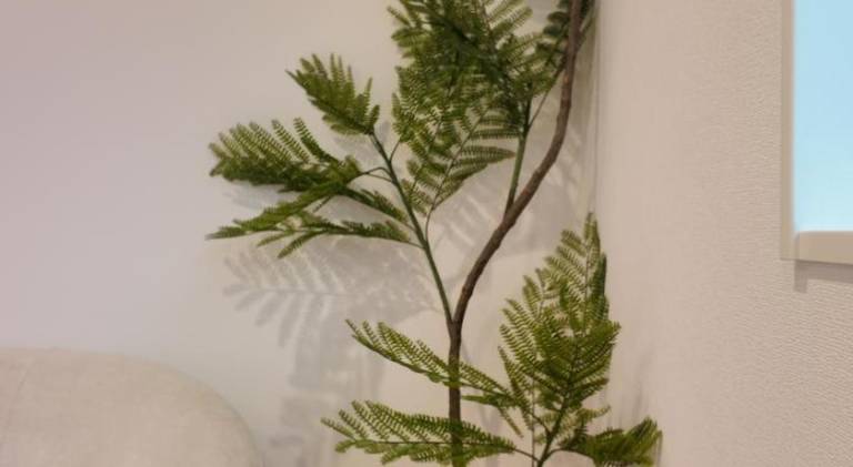 foto21