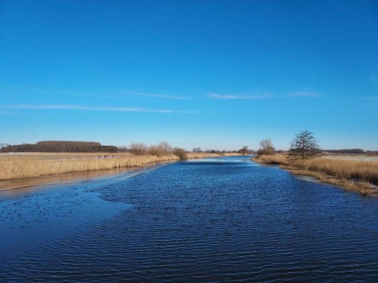 foto11
