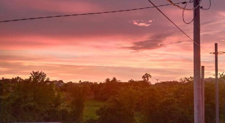 foto48