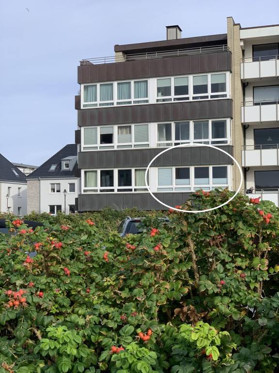 App. MOIN — photo 2