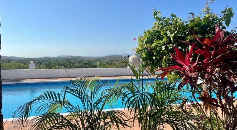 Casa Paloma — photo 4