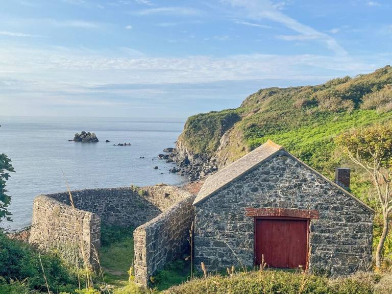 Cottage Cadgwith