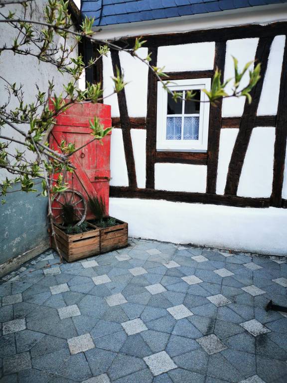 foto8