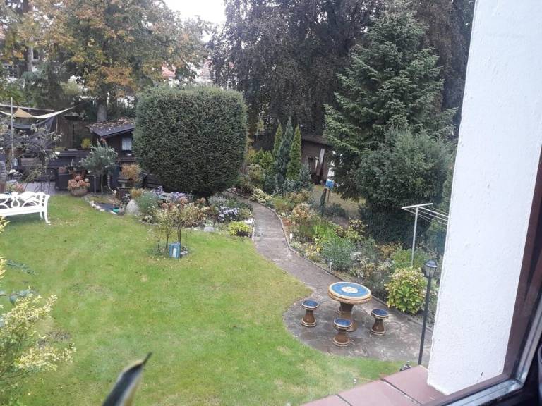 foto19
