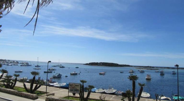 House with 2 rooms for 6 persons in Porto Cesareo