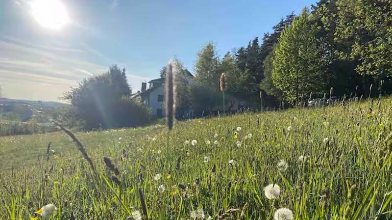 Ferienwohnung  Warmensteinach