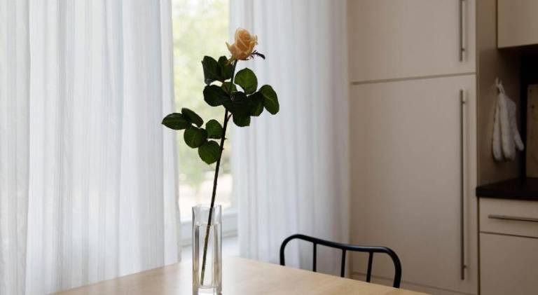 Pleasant holiday apartment | Pets are welcome — photo 4