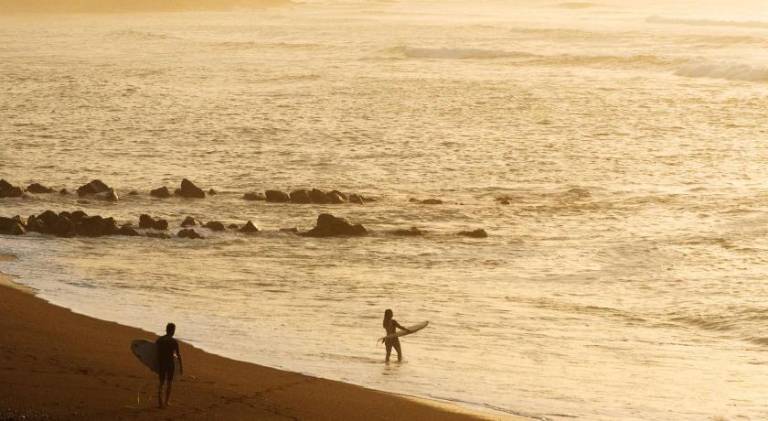 Aparra Surfcamp Auberge Capbreton in Soorts-Hossegor