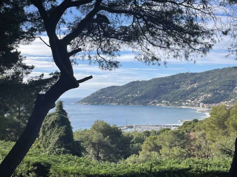 foto21