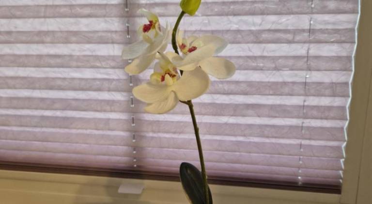 foto25