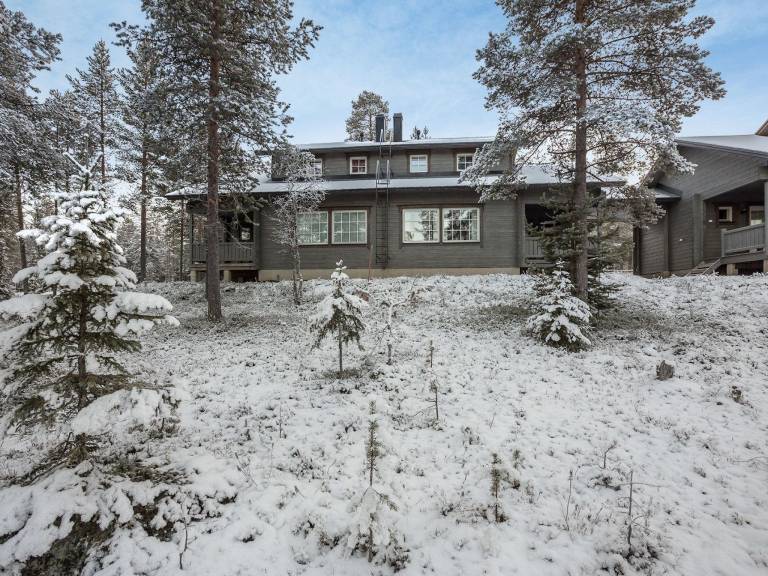 House with sauna — photo 4