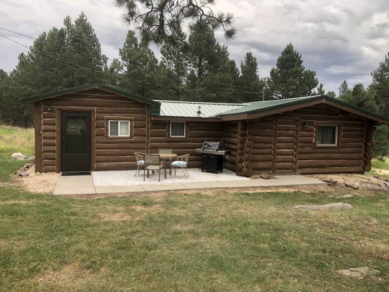 Cabin Custer