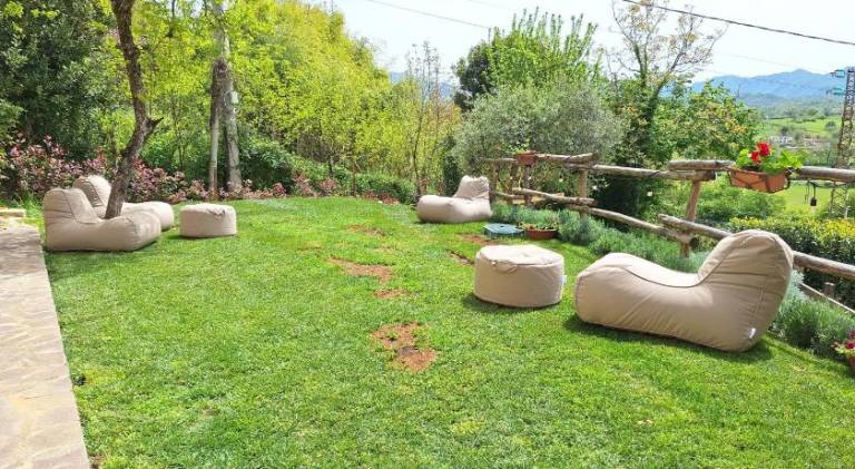 Beautiful farm with pool | Dogs allowed — photo 3