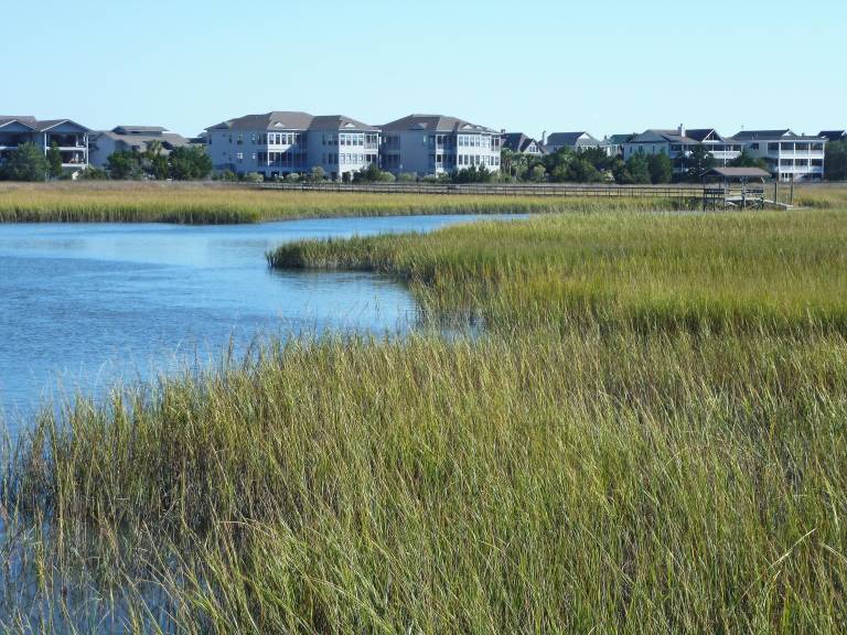 Condo Pawleys Island