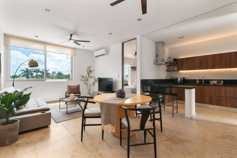 Condo Benito Juárez Norte