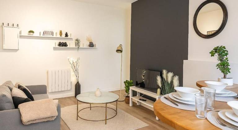 Nice rental apartment | Pets are welcome in Villeurbanne