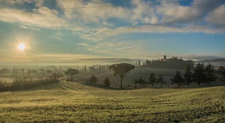House with pool, barbeque & yard in Buonconvento