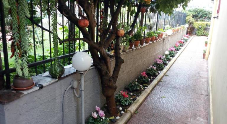 Green Garden in Castellammare di Stabia