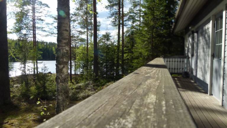 foto1
