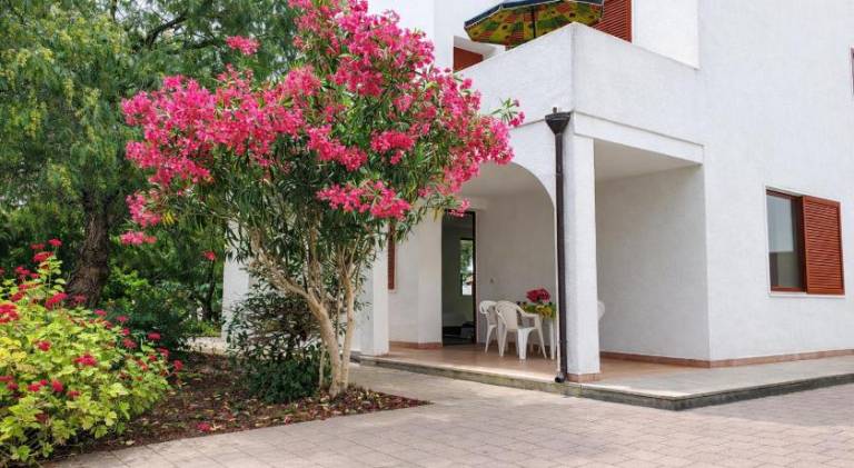 Via Ugento Apartments - by Salento Mare Cielo Travel Slow Live More — photo 5