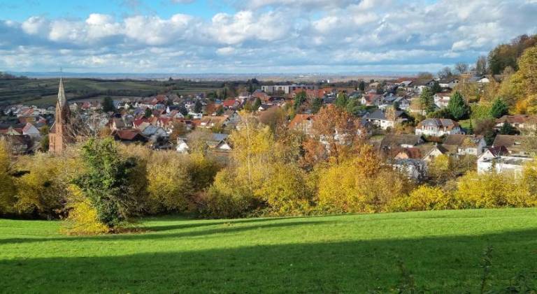Ferienwohnung Friesenheim
