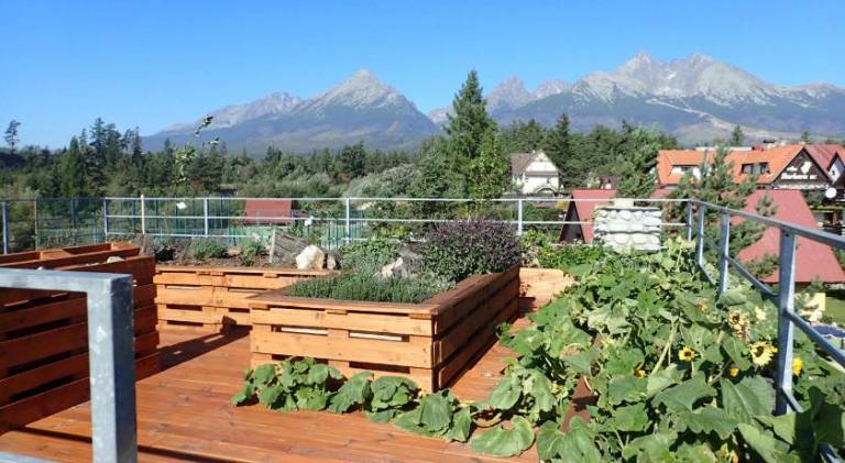 Lodge with patio, garden & barbeque | Pets are welcome — photo 4