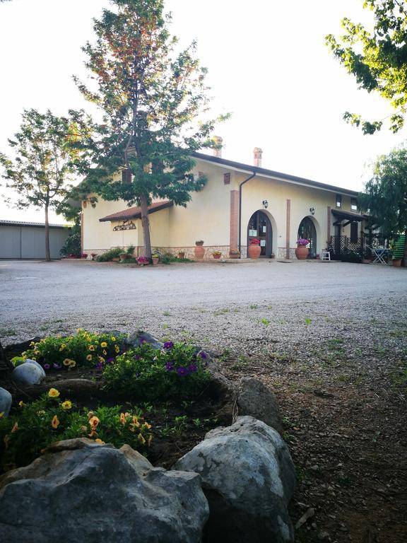 foto2