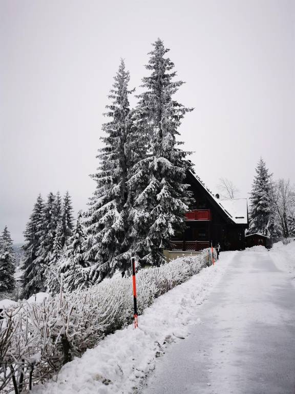 foto20