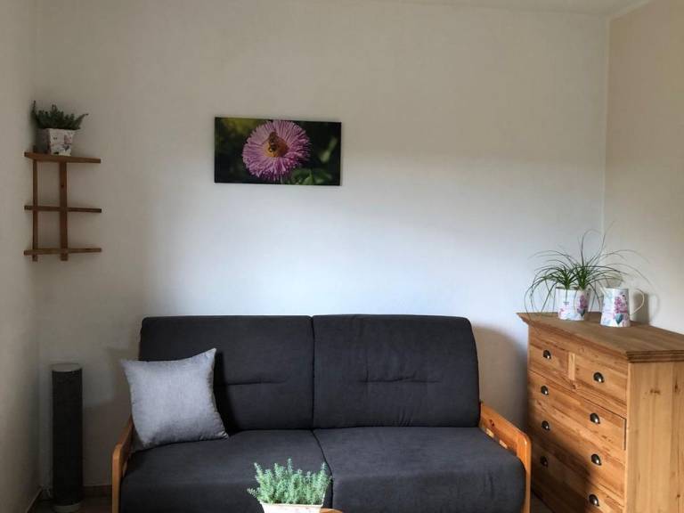 foto17