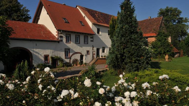 Ferienwohnung Kandel