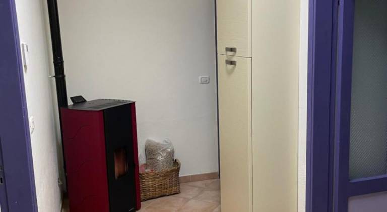 Holiday apartment | Dogs allowed — photo 4