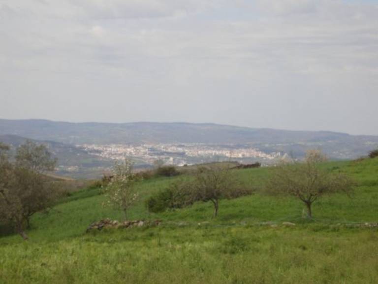 foto14