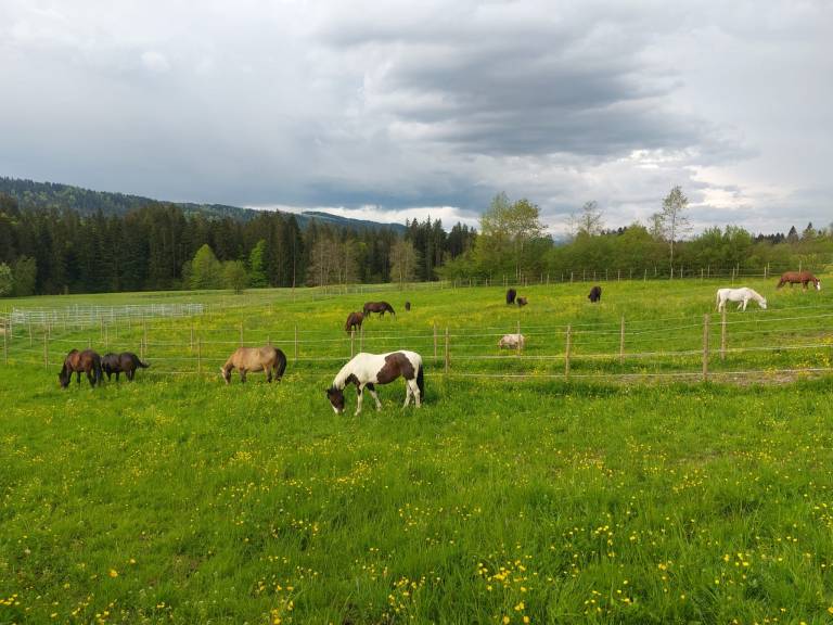 Ferienwohnung Oberreute
