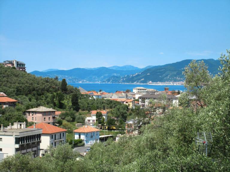 foto31