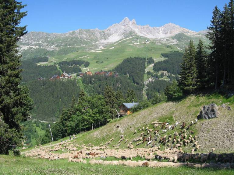 foto7