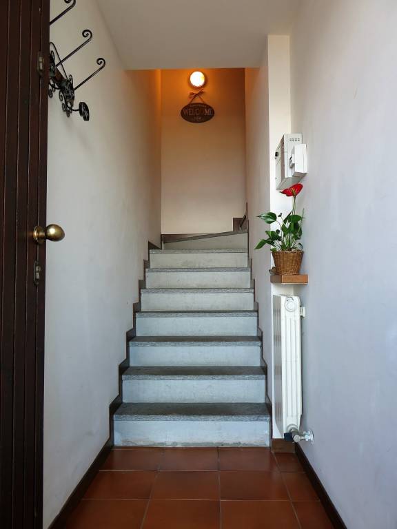 foto17